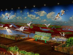 黃河口鳥類博物館設(shè)計(jì)案例