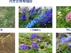 內(nèi)蒙古科普展廳設(shè)計(jì)—案例續(xù)篇